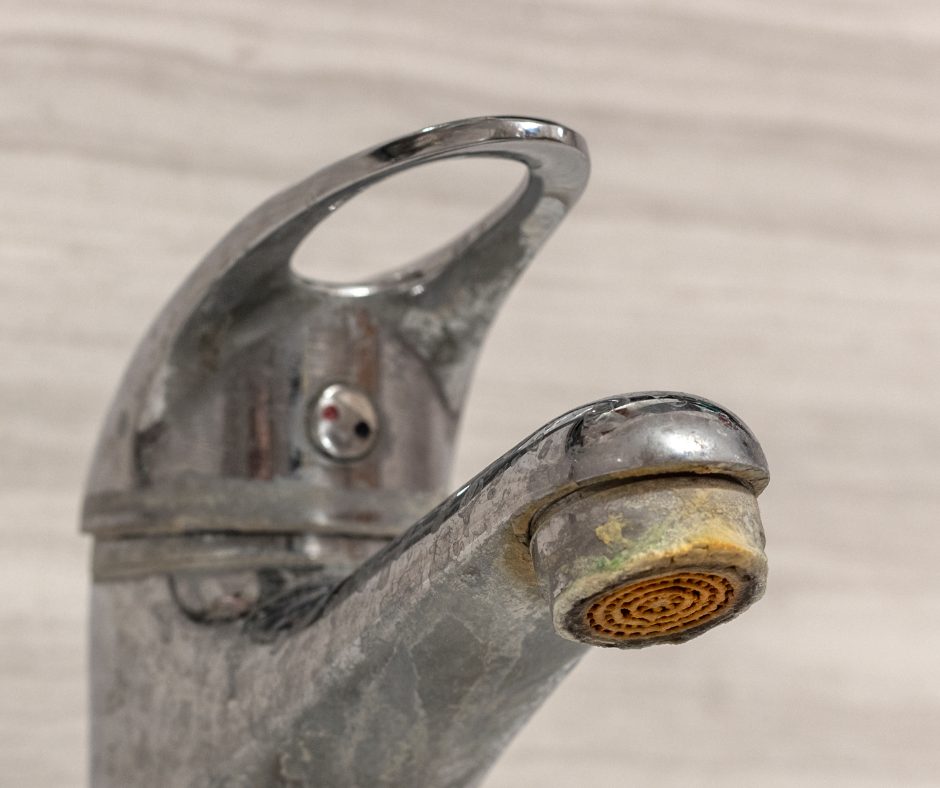 Hard Water and Your Hair